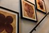 Rent by room in San Juan - The Oliver, Deluxe Room with King Bed, Old San Juan