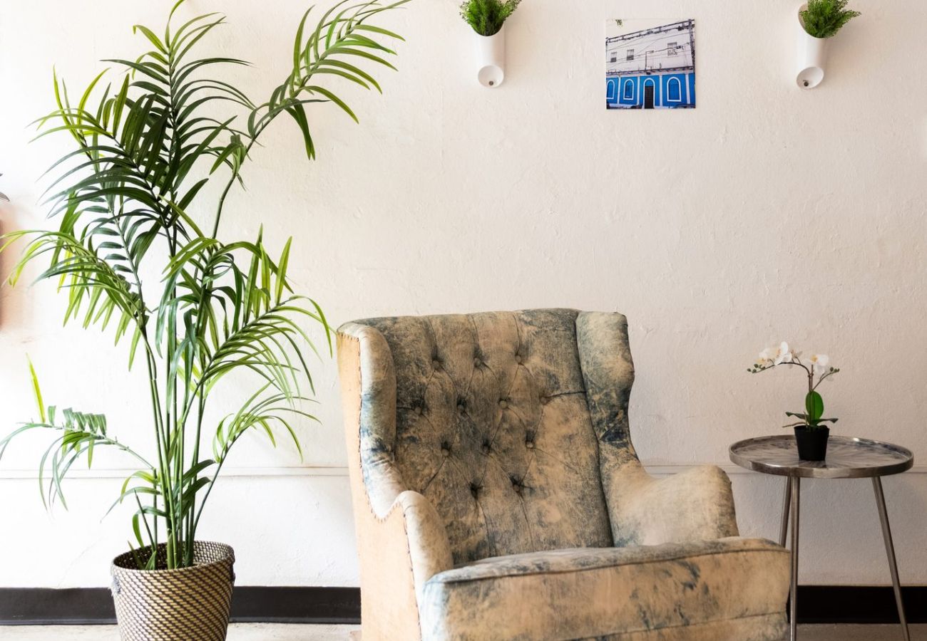 Rent by room in San Juan - Juliette Hostel, Bed in 8-Bed Female Dorm, Old San Juan