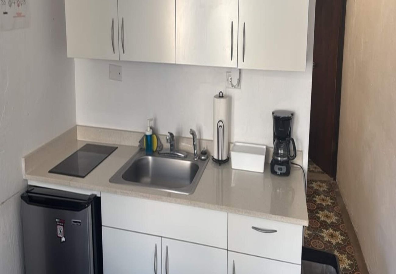 Apartment in San Juan -  Apt with Terrace near Beaches & Old San Juan-15