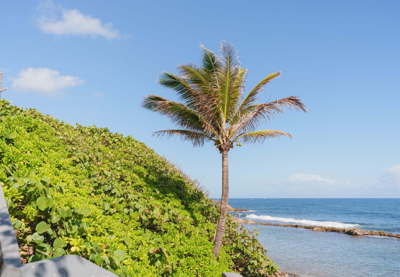 Apartment in San Juan - Elokut Loft 2 - Steps from Old San Juan and Escambron Beach