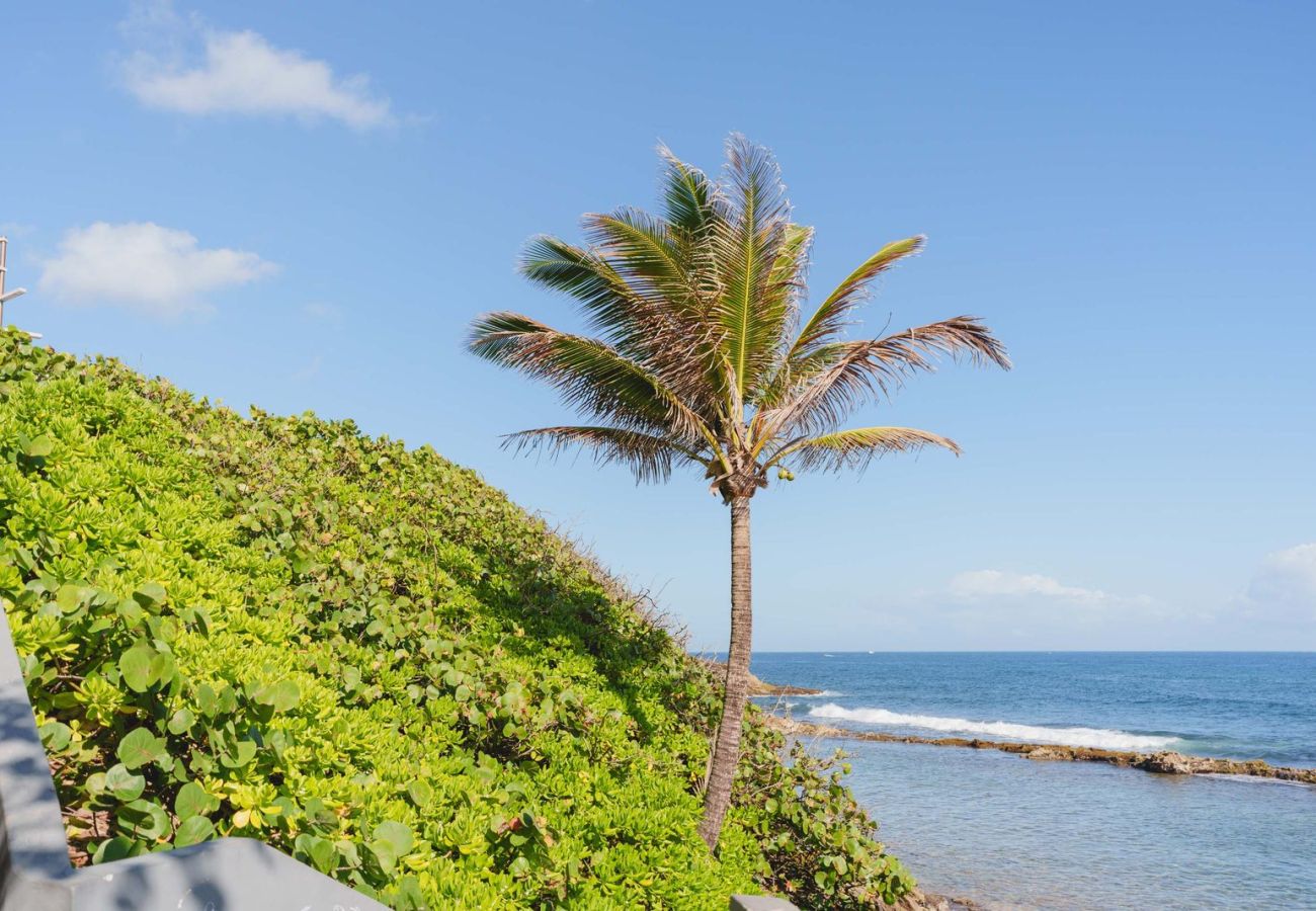 Apartment in San Juan - Elokut Loft 5 - Steps from Old San Juan and Escambron Beach