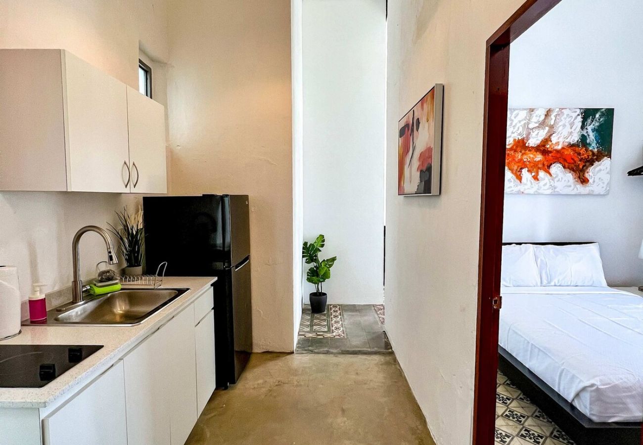 Apartment in San Juan - Nando's Place 3 - Charming 1BR Apt near Old San Juan and Beach