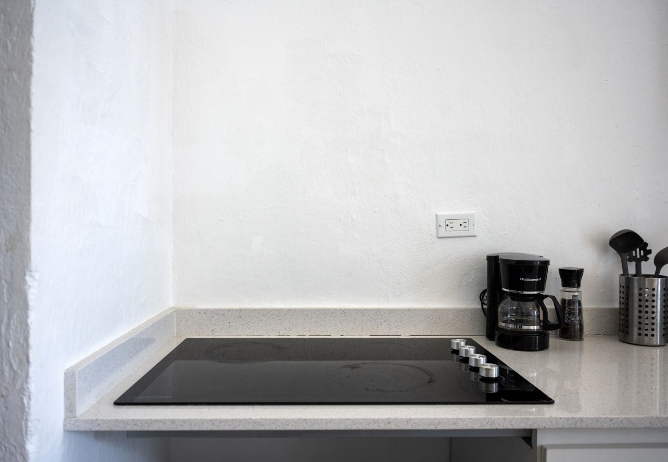 Apartment in San Juan - Nando's Place 4 - Charming 1BR Apt near Old San Juan and Beach