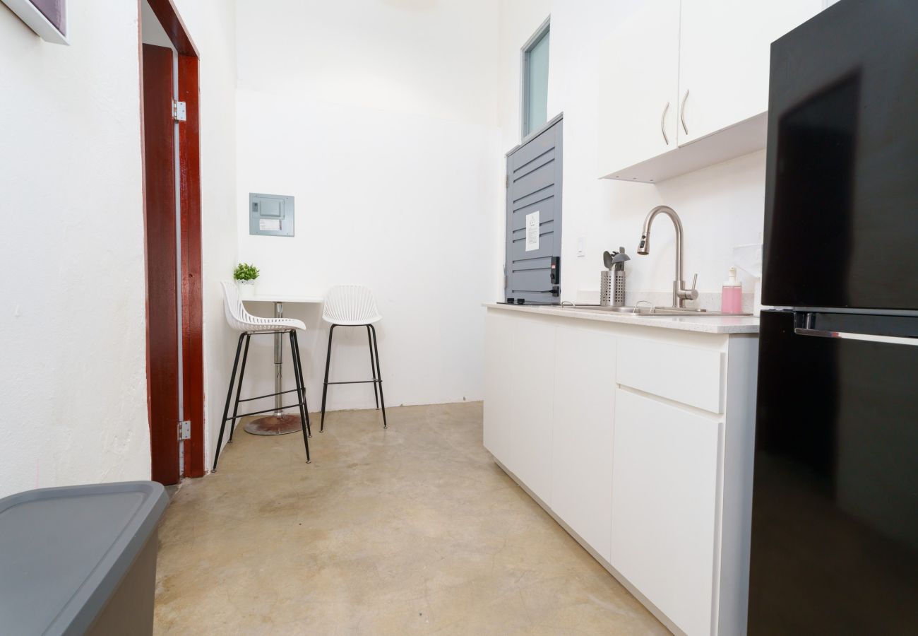 Apartment in San Juan - Nando's Place 4 - Charming 1BR Apt near Old San Juan and Beach