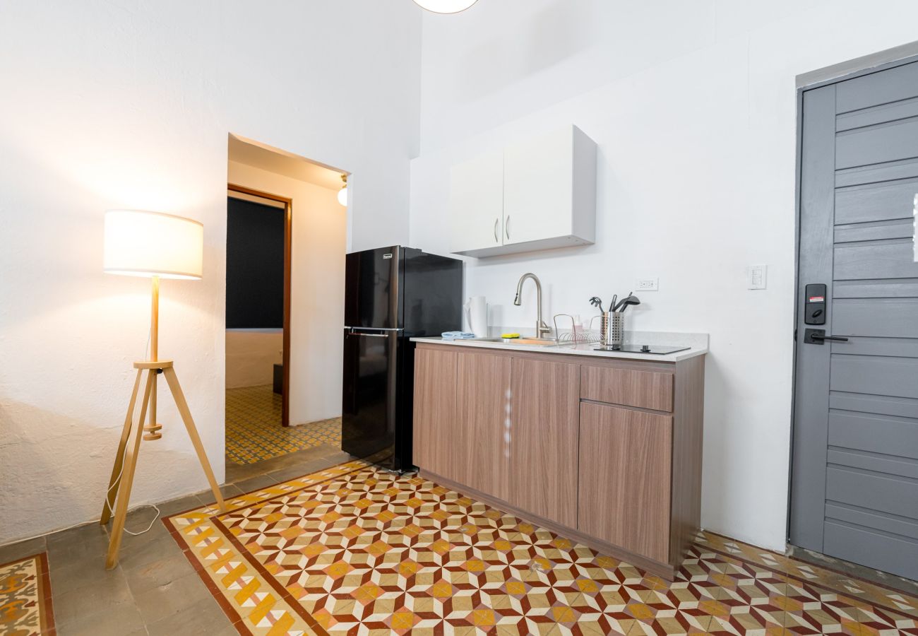 Apartment in San Juan - Nando's Place 5 - Charming 2BR Apt near Old San Juan and Beach