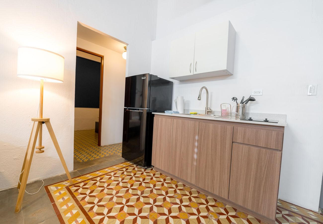 Apartment in San Juan - Nando's Place 5 - Charming 2BR Apt near Old San Juan and Beach